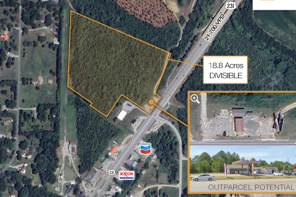 507 Hwy 231 | Land